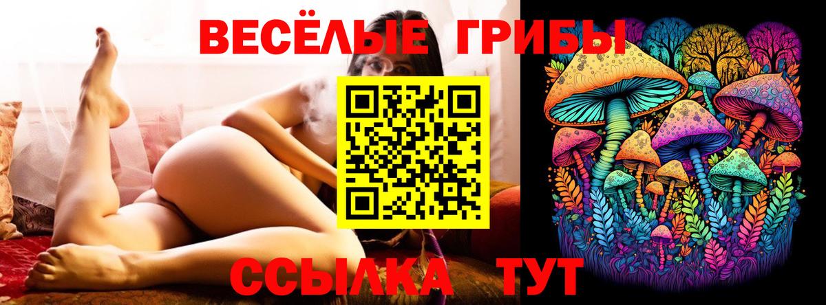 Псилоцибиновые грибы GOLDEN TEACHER Семёнов
