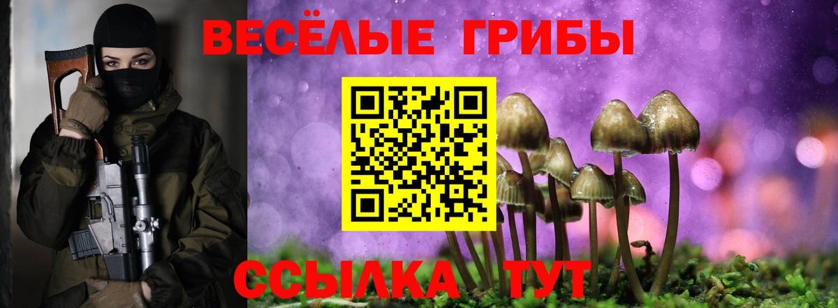 как найти закладки  Псилоцибиновые грибы GOLDEN TEACHER  Вход с VPN  Семёнов 